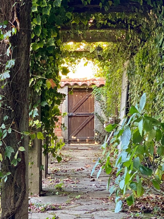 Le Rez De Jardin Albi Ξενοδοχείο Εξωτερικό φωτογραφία