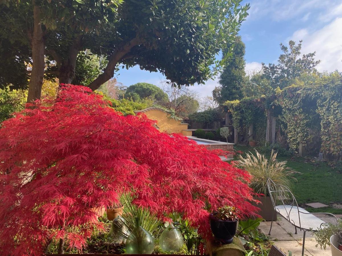 Le Rez De Jardin Albi Ξενοδοχείο Εξωτερικό φωτογραφία